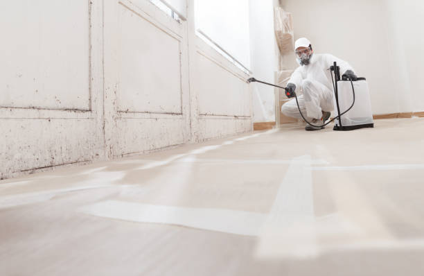24/7 Emergency Mold Remediation experts in Valrico, FL